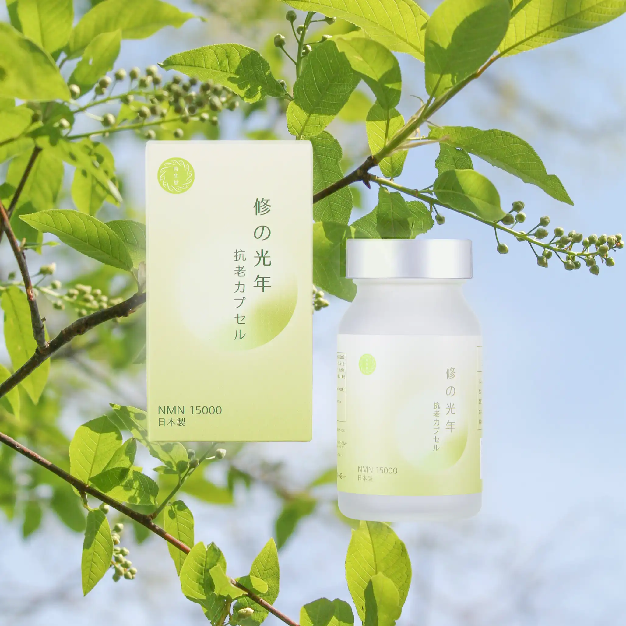 Read more about the article 喚醒活力：NMN 補充劑的科學效益全解析如何運作